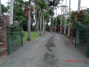 Emerald Tropical Palms B & B
